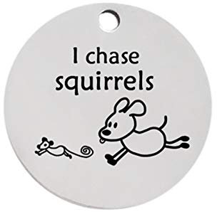 LIANYG Hundemarke Personalisiertes Muster Kleiner Haustierhund-ID-Tag Metall Edelstahl runde gravierte Tags für große Hunde 641 (Color : E i Chase Squirrels, Size : M)