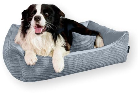 4L Textil Molly Katzenbett flauschig Katzenkörbchen Katzensofa Kuscheliges Hundebett kleine Hunde Katzenkorb waschbar Hundekorb für Welpen Grau (60x40 cm, Grau)