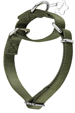 Dazzber Martingal Halsbänder für Hunde, Verstellbar Langlebig Kein Escape Stop Ziehen Hundehalsband Nylon für Große/Mittlere/Kleine Hunde (M(36cm-53cm), Militärgrün)