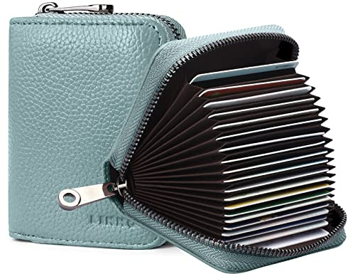Goopai RFID - Étui pour cartes de crédit avec 20 compartiments pour cartes - En cuir véritable - Étui pour cartes accordéon - Petit portefeuille pour homme ou femme - Avec fermeture éclair, bleu, s