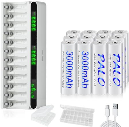 Mspalocell 12 pezzi 3000mAh batterie ricaricabili AA con caricabatterie, caricatore rapido USB tipo-C 5v2A schermo LCD con 12 slot per batterie ricaricabili NiMH da 1,2 V AA AAA