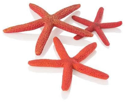 biOrb 48356 Seestern Set 3 rot – Aquarien-Dekoration in Seestern-Form, naturnahe Ornamente, für alle biOrb Modelle