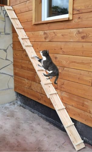 Ruhti - Katzentreppe Katzenleiter Katzenstufe für Balkon, Treppe etc.| 1 bis 7 m (5 m)