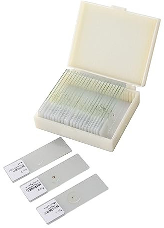 PartyKindom 25st Mikroskop Objektträger Biologie Vorbereitete Objektträger Glas Probe