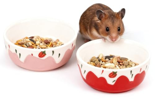 Wontee Hamster Food Bowl 2 Pack Ceramic Food Water Bowl Anti-Tipping for Dwarf Hamsters Gerbil Mice Hedgehog Guinea Pig (Red+Pink)