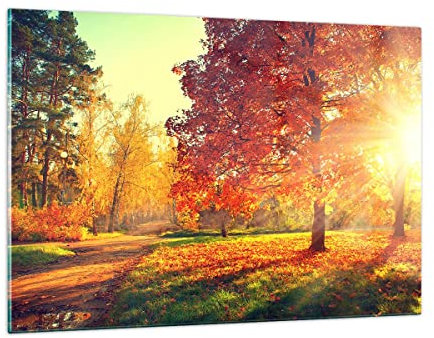 ARTTOR Wandbilder Dekoration Wohnzimmer Park Herbst Baum Bilder auf Glas 120x80cm Glasbild Schlafzimmer Küche Deko Wand Kunstdruck Art Groß XXL Wanddeko Bild im Glas Modern Wall Decor GAA120x80-3654