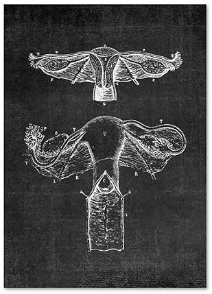 Supkancl Muscolo Piede Osso Cuore Anatomia Scheletro Wall Art Canvas Painting Nordic Poster E Stampe Immagini a Parete for Doctor Office Decor(M,13X18 cm No Framed)