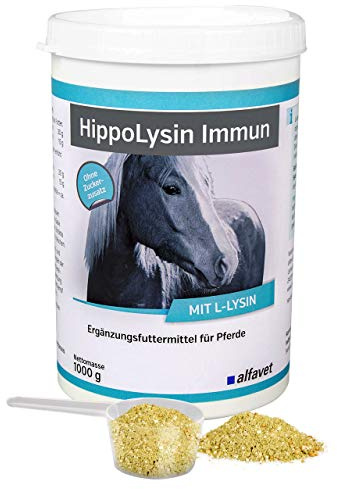 Alfavet HippoLysin Immun mit L-Lysin, Herpes Immunaufbau, probiotisch, dopingfrei, Ergänzungsfuttermittel für Pferde und Ponys, 1000g