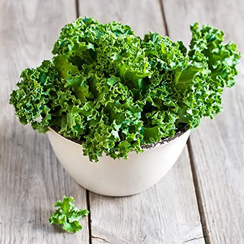 NIKA SEEDS - Seeds Vegetable Indoor Lettuce Curly Leaf Heirloom for Salads - 1000 Seeds