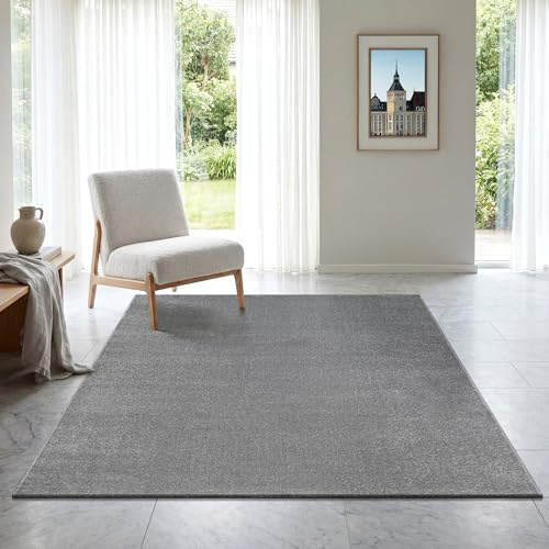 SANAT Kurzflor Teppich Wohnzimmer - Uni Modern Teppiche fürs Schlafzimmer, Arbeitszimmer, Büro, Flur, Kinderzimmer und Küche - Grau, 80 x 200 cm