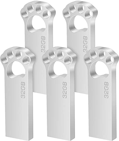 USB-minne 32 GB 5 stycken miniminne 32 GB USB 2.0 flashdrive vattentät penna 32 GB med nyckelring för skola kontor bil PC bärbar dator (silver)
