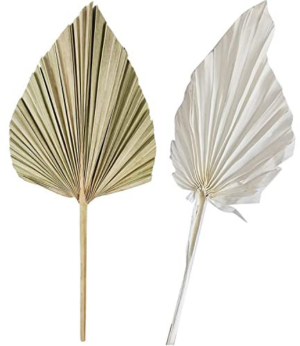 Yeesabella 2 PCS Dried Palm Leaves,Natural Dried Palm Spears,Small Dried Palm Fan Colour Spears Plant for Boho Home, Party ,Wedding,Decorating,DIY Bouquet Arrangement