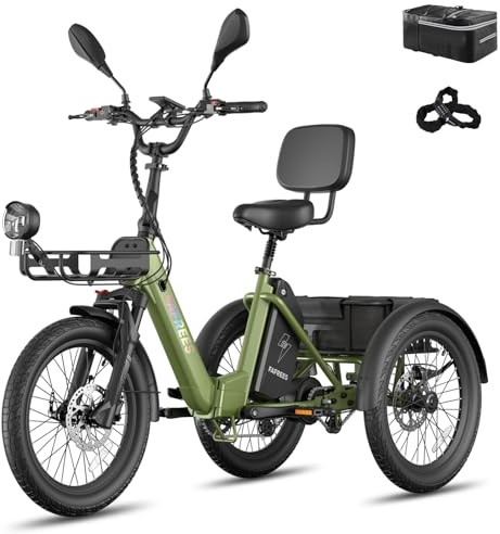 Fafrees F20 Mate II E Bike Dreirad für Erwachsene 48V Zulassung Herren E Bike Damen, Elektrofahrrad 3 Rädern 65N.m, Elektro Dreirad 20 Zoll, Fahrrad Fatbike 180kg