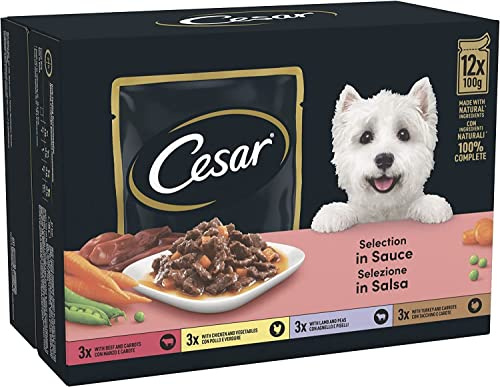 CESAR Pouch Selection in Sauce, Fresh Adult Wet Dog Food Pouches in Delicious Sauce with Succulent Meats and Vegetables, 48 x 100 g