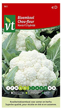 Coliflor Novia F1 semillas híbridas