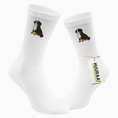 Huuraa Bovaro del bernese calzini