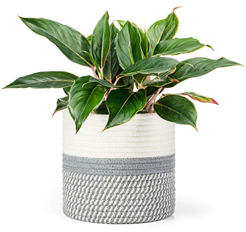 Dahey Jute-Baumwollseil-Pflanzkorb, Mini-gewebter Aufbewahrungskorb für bis zu 17.8 cm Übertopf, 19.1x20.3 cm, dekorativer Blumentopf, Schrank, Moderne Heimdekoration, grau und weiß