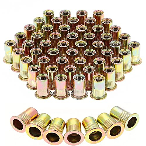 Booramy Lot de Ecrous de Rivet Insert M6 Filetage Métrique en Acier au Carbone Zingué (M6 × 100pcs)