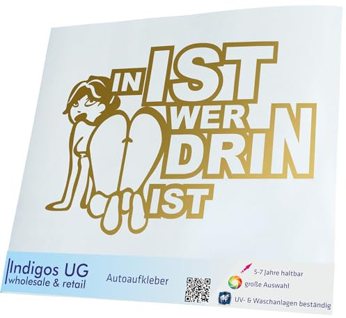 INDIGOS UG Auto Aufkleber Auto - 300x194 mm - In ist wer drin ist - Gold - Selbstklebender Sticker für Auto, Fenster, Bus oder LKW