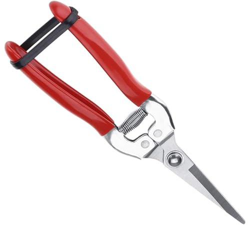 Tijeras de Podar, Tijera de floristería Derecho, Tijeras Multiusos de acero inoxidable, para Podar Ramas en el Jardín y para Podar Flores, Rojo