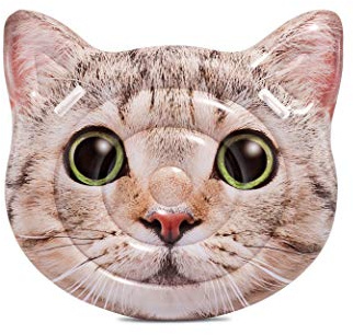 Intex Cat Face Island