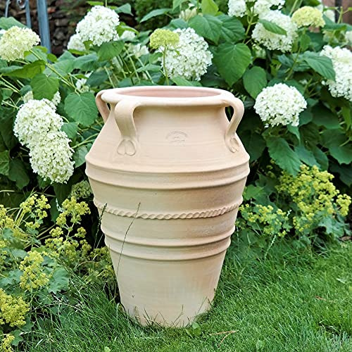 Palatina Keramik | Terracotta amfora med handtag 50 cm, smal planteringskärl, vinterhård keramik | för trädgård utomhus, Olea 50 cm