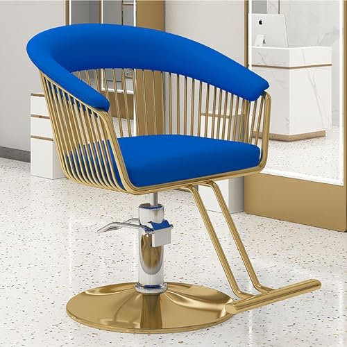 UIHECTA FrisöRstuhl, Verstellbarer Haarstyling SchöNheits Stuhl, FüR Den Privaten Und Professionellen Friseursalon, Friseurstuhl Mit Drehgelenk Und Hydraulikpumpe,Gold,005