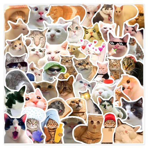 Bojueshaw Kawaii Cat Meme Stickers - 50pcs Waterproof Vinyl Stickers for Water Bottle and Scrapbook