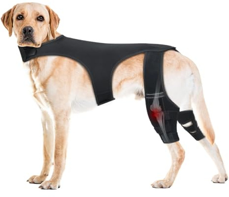 Knieschoner für Hunde Hinterbeine | Verstellbarer Gelenkarm | 4 Metallstabilisatoren zur Unterstützung der Hüfte – für Wandern, Training, Outdoor, Park, Strand, Reise