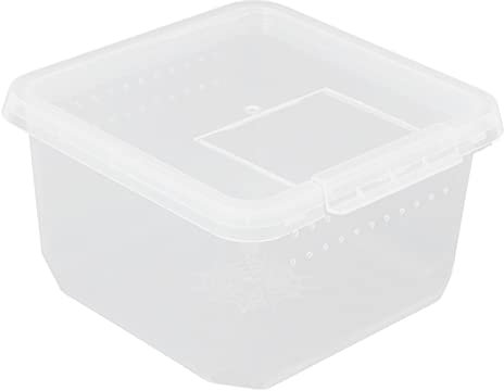 minkissy Mini-reptilienbehälter Mit Atemlöchern Reptilien-futterbox Transparent Leicht Zu Reinigen Für Spinnen Und Kleine Reptilien