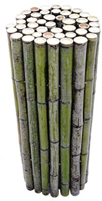 Bambuszaun gerollt naturgrün Bali Big Green 100x200cm mit 4 bis 5cm Rohre