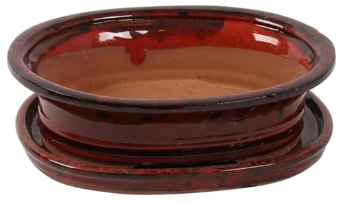Bonsai Pot with Saucer - Oval 25cm Wide - Deep Red - Perfect for Bonsai Trees and Succulents