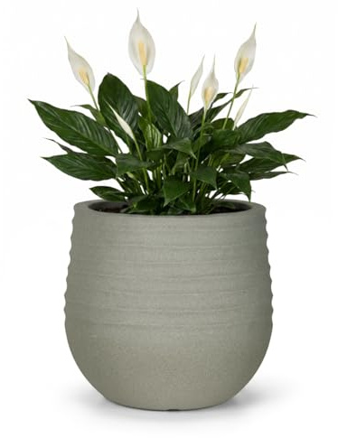 Mazovia Interno Ed Esterno Vaso da Fiori Terrazza Ø54cm Rotondo Grigio Eco | Interno Ed Esterno Vaso da Fiori per Soggiorno Sala da Pranzo Tinta Unita Resistente Alle Intemperie Riciclato Minimalista