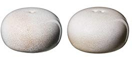 ASA Saisons Salz und Pfefferstreuer Set aus Steinzeug in der Farbe Nude, Maße: 5cm x 5cm x 3cm, 27390107