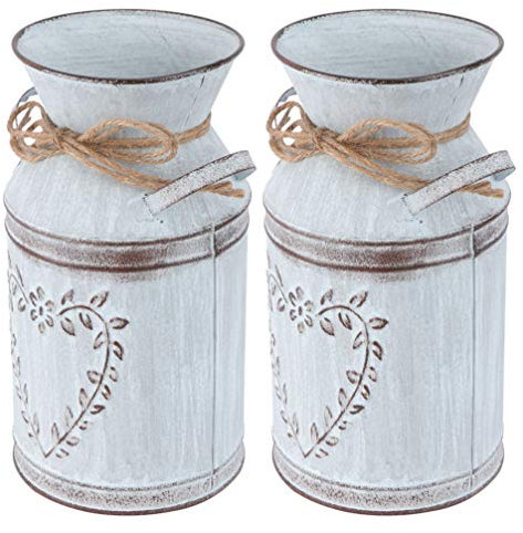 TOPBATHY 2pièces Pot De Fleurs Fer à Motif Cœur Vase Planteur pour Décoration Intérieur Lot