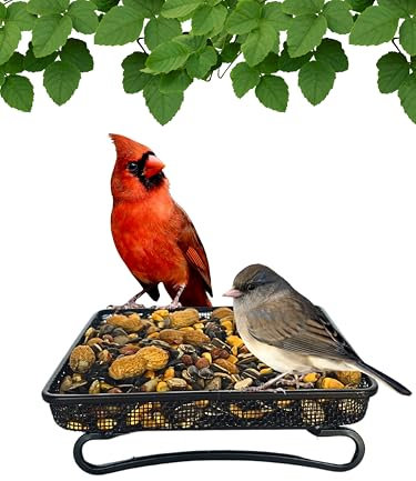 Backyard Essentials Wildlife and Bird Feeder, Deck and Ground Tray Feeder for Birds, Squirrels, Chipmunks, and Rabbits