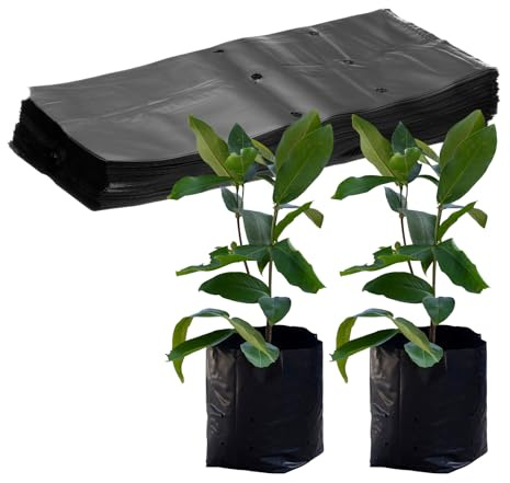 M METERXITY 50-Pack Plastic Nursery Growing Bags 9.4 x 12.2, Black | Thicken, Gardening Seed Plant Bags, for Potato, Flower, Tomato, Plant Starts, Home Gardening Supplies