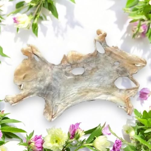 Ziegen-Kopfhautplatte, 1kg,Hundekauartikel, getrocknet - natürlicher Snack für Hunde zur Zahnpflege,geeignet für allergische Hunde