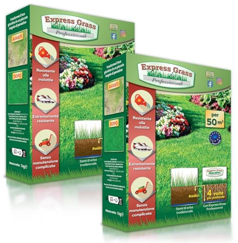 Semi prato resistente- Tappeto erboso professionale - Germinazione ultra veloce e densa (14 giorni) - resistente alla siccità e al freddo (2 scatole - 100M²) Gazon Express Professionnel