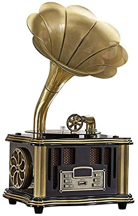 ROLTIN Tourne-Disque, Gramophone, phonographe, Haut-Parleur sans Fil, avec entrée auxiliaire, Radio FM, Port USB pour clé USB, Gramophon
