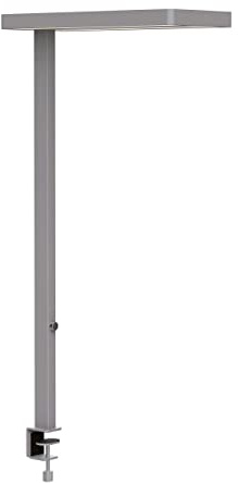 MAUL LED Schreibtischlampe MAULjaval silber dimmbar mit Tischklemme