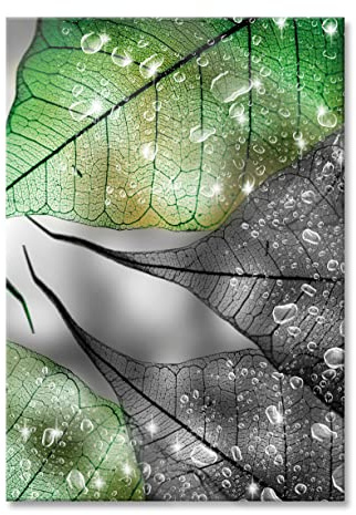 Pixxprint Glasbild, Wandbild aus Echtglas, grüne Blätter mit Wassertropfen, 60x80 cm, inkl. Aufhängung und Abstandshalter