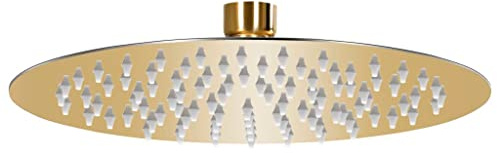 vidaXL Pomme de Douche Pluie Pulvérisateur Pommeau de Douche Tête de Douchette Accessoire de Salle de Bain Acier Inoxydable 20 cm Ronde Doré