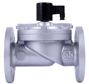 1 Stück DN65 Zoll Gusseisen-Flansch-Magnetventil, vorgesteuerte Wegeventile, weiblich (BSP)(220VAC)
