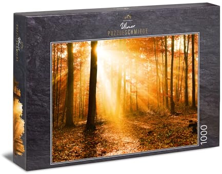 Ulmer Puzzleschmiede - Puzzle Foresta autunnale dorata - autunno pittoresco con la luce del sole tra gli alberi nella foresta autunnale colorata
