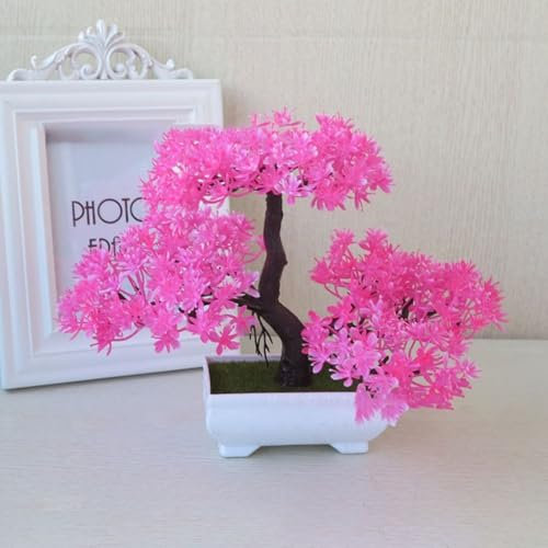 Mini piante di pino bonsai compatto per decorare salotti, camere da letto, uffici o aree esterne (rosa)