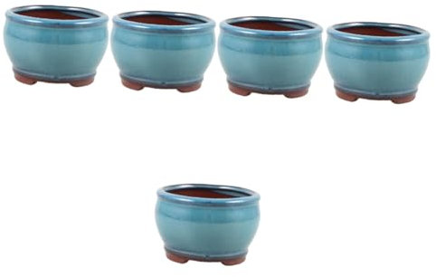 Mipcase 5 Pz Pianta succulenta di asparagi in vaso fioriera da balcone vaso da fiori da scrivania vaso da fiori decorativo da tavolo vaso per piante grasse vaso di cactus argilla viola