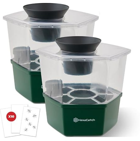 MASTER TRAP BY FAVEX - Lot de 2 pièges Anti pontes Hexacatch - Anti-moustique - Limite la reproduction des Moustiques Tigre et Commun - Sans électricité