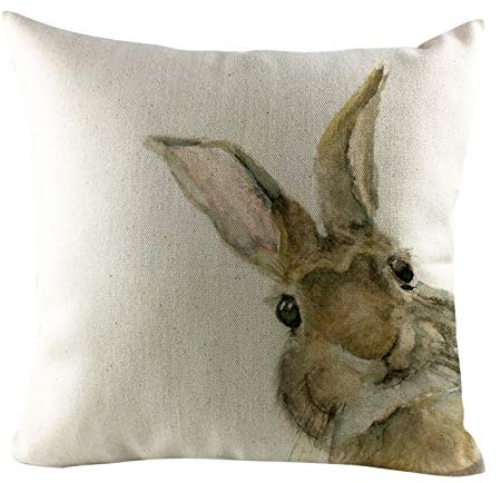 Kissenbezug Ostern Osterdeko Ostereier Häschen Kissenhülle Kissenbezug Dekokissen Cases Ostern Deko Sofa Kissen 45x45cm, Dekorative Kissenhülle für Zierkissenhülle Schlafzimmer Sofa (D-B, 1pc)
