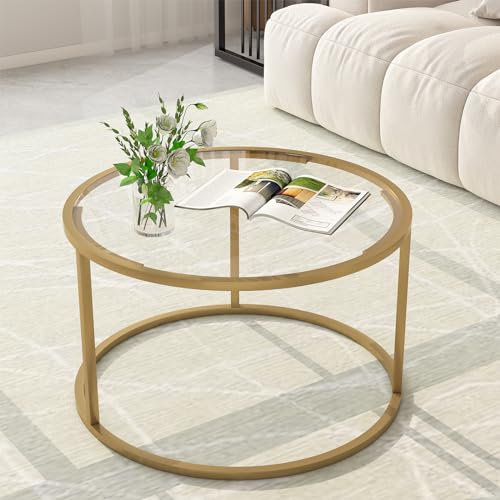 Glass Coffee Table,Round Gold Coffee Table for Small Space,27 Modern Center Table,Glass Top Clear Coffee Table with Sturdy Metal Frame for for Living Room Home Office, Easy Assembly